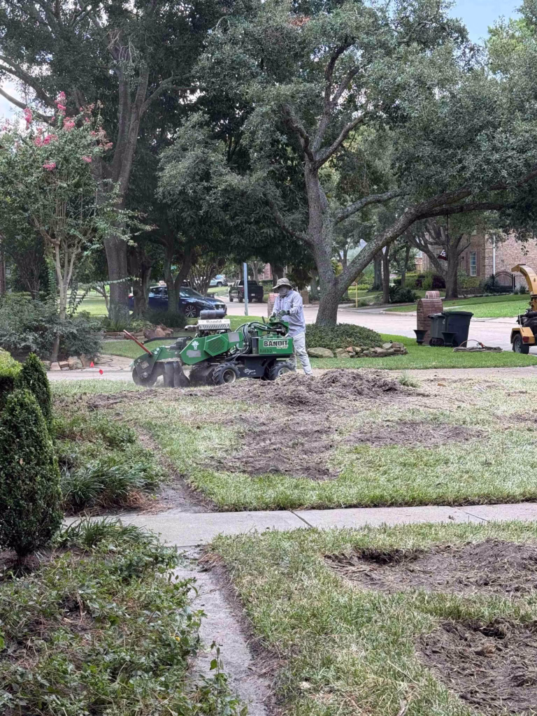Tree Removal in Inverrary Drive Houston TX