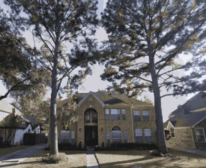 Tree Removal in Inverrary Drive Houston TX