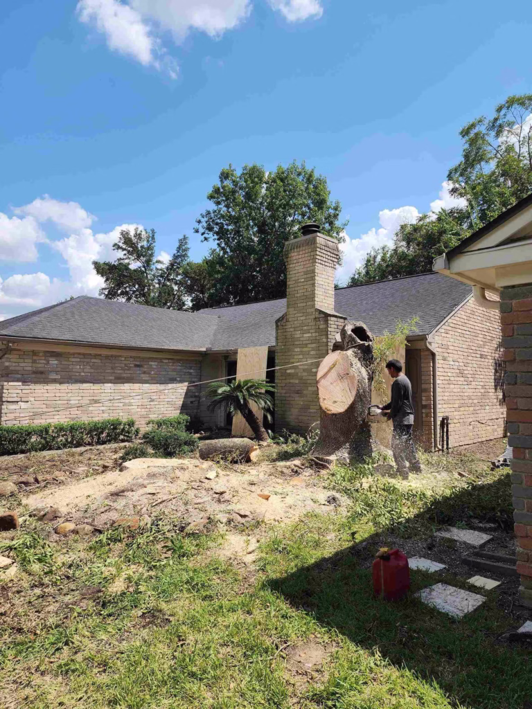 residential-tree-care-project-houston-tx