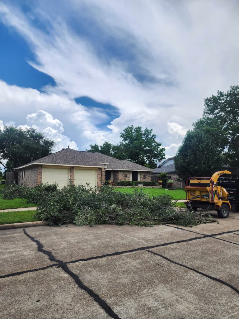 tree trimming project in Waterford Dr, Deer Park, TX