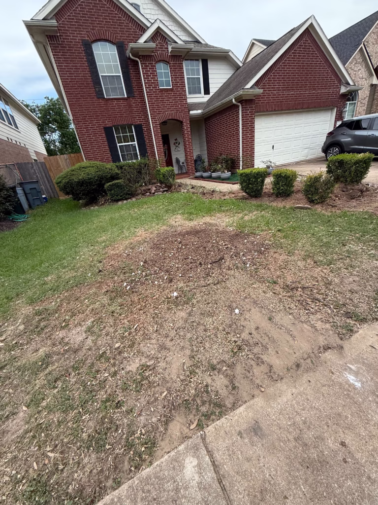 tree services in greater houston area