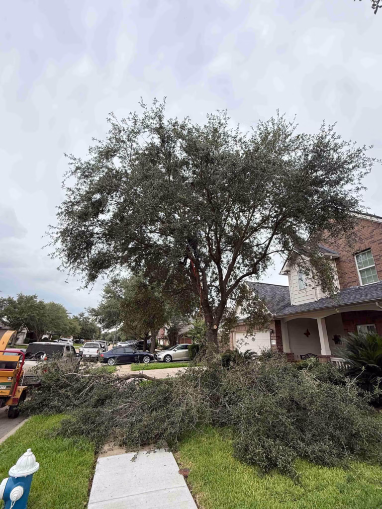 Tree-Trimming-Crew-at-Work-Champions-Walk-Ln-Houston-TX.