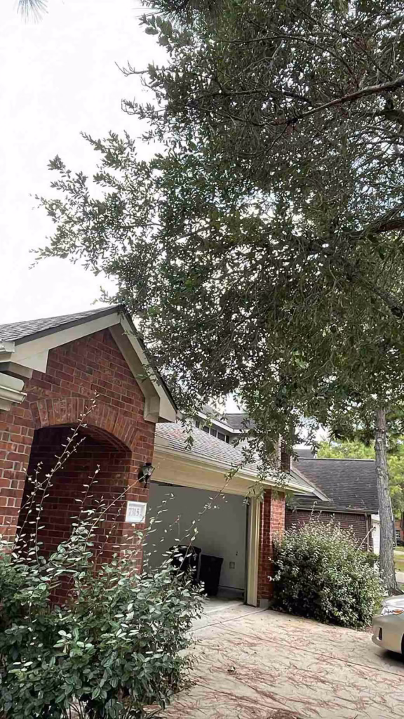 Safe-Tree-Trimming-Operations-Windy-Port-Ln-Richmond-TX