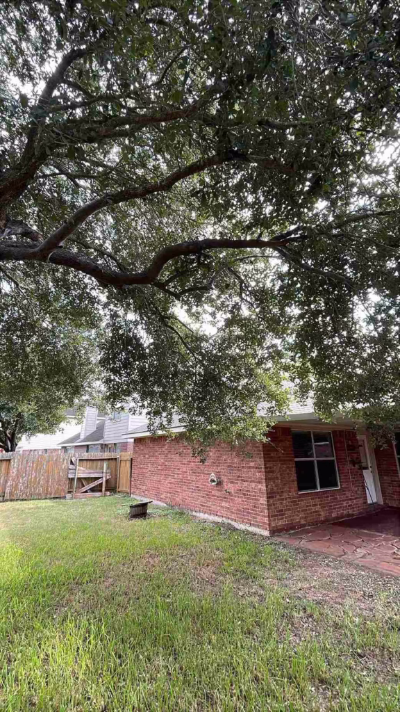 Trimming-Overgrown-Branches-Windy-Port-Ln-Richmond-TX