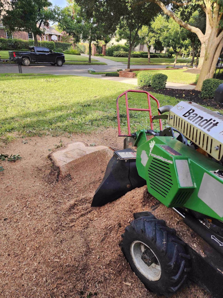 Before-and-After-Tree-Removal-Heathrow-Lane-Sugar-Land-TX