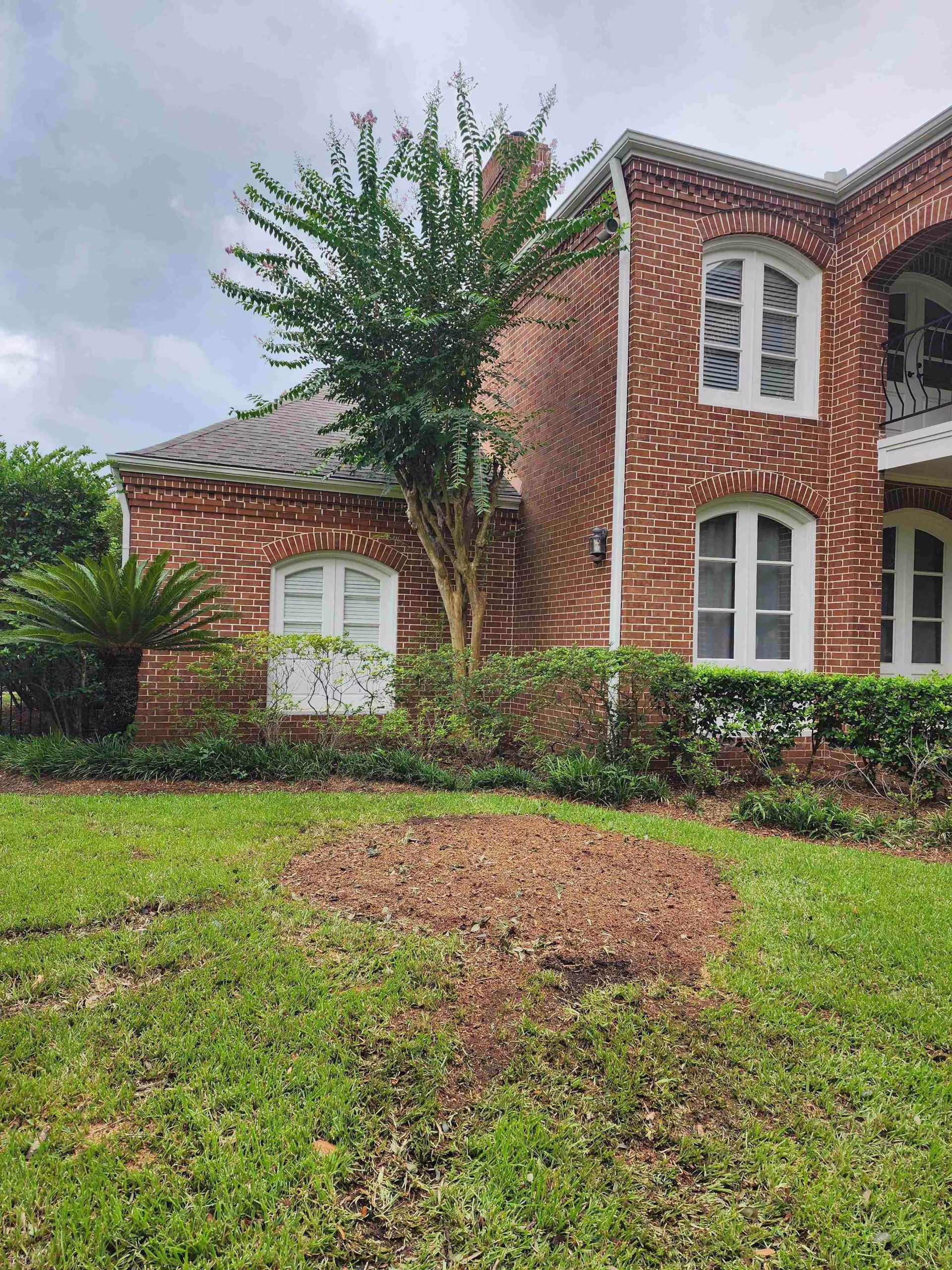 Expert-Tree-Removal-Service-Heathrow-Lane-Sugar-Land-TX.