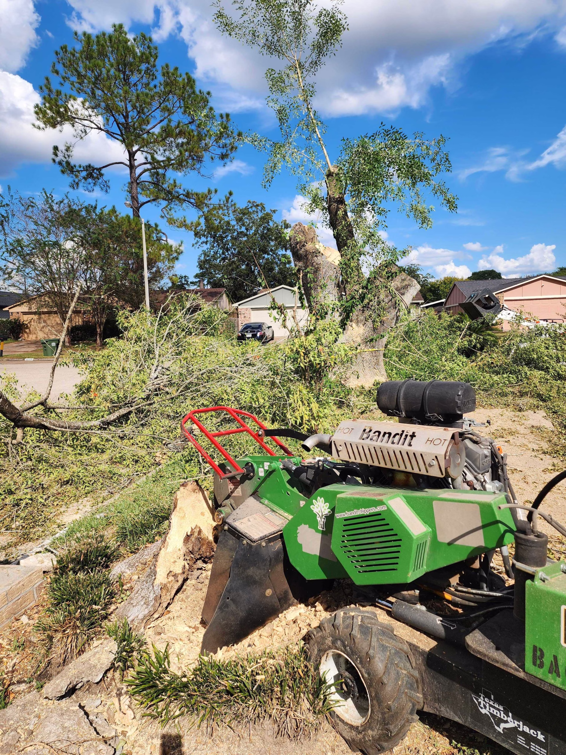 Tree Removal & Stump in City of Humble - Hummingbird Ln